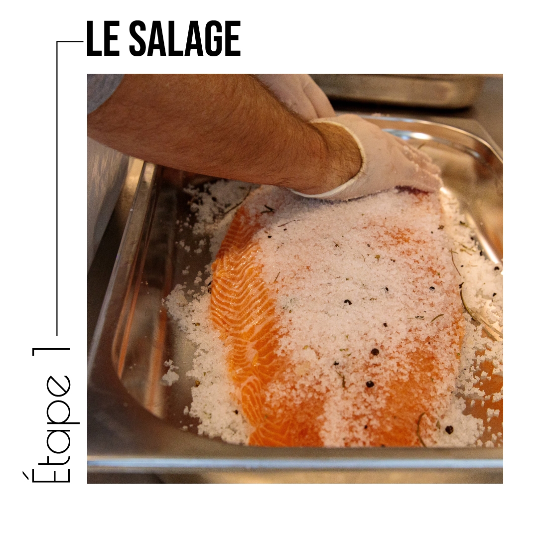 Etape Salage saumon little oak saveurs fumées Hérault