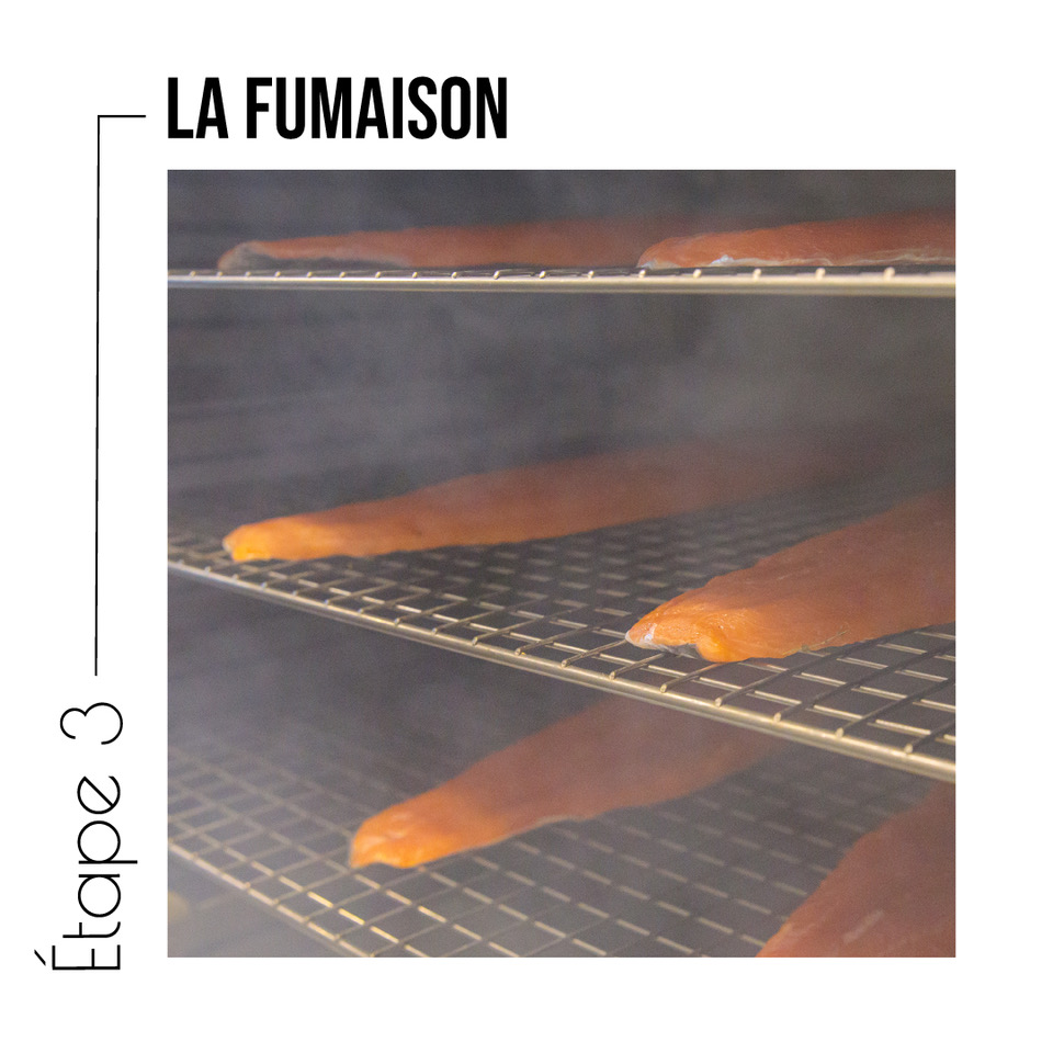 Etape fumage saumon fumé little oak saveurs fumées Hérault